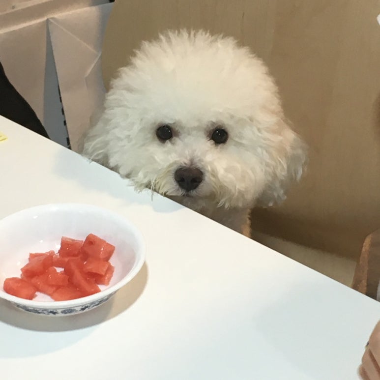 내음성 이미지