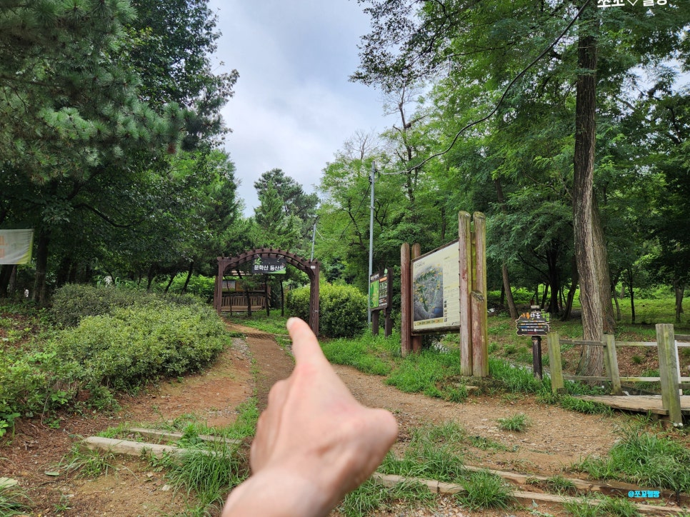 에덴카센타 이미지
