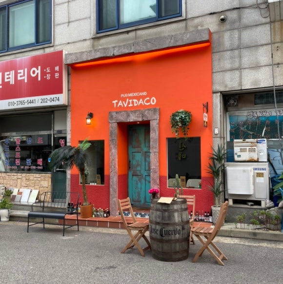 타비다코 이미지