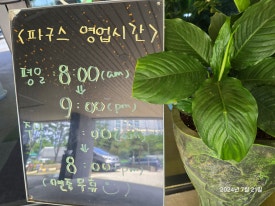 더파구스 이미지