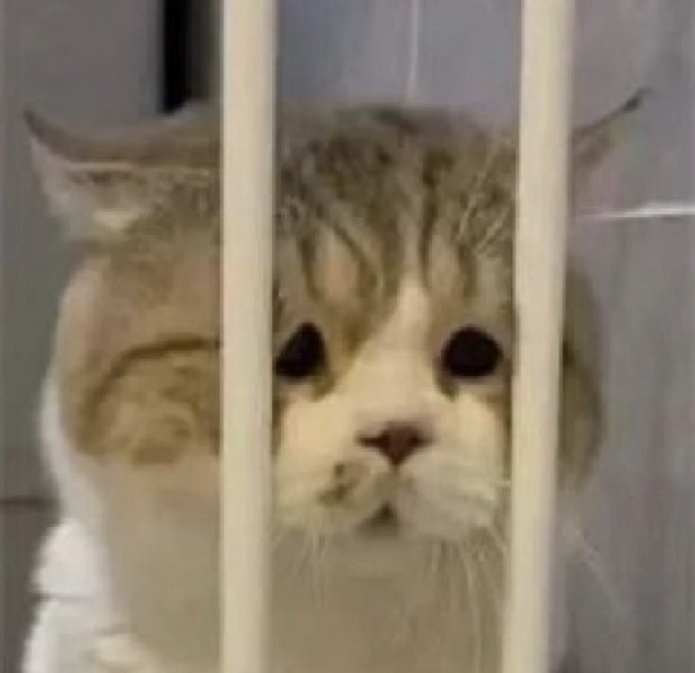 러키 이미지