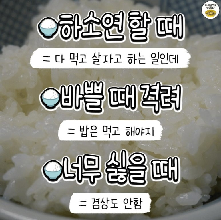 밥에 진심 이미지