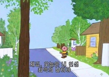 꼬들 이미지