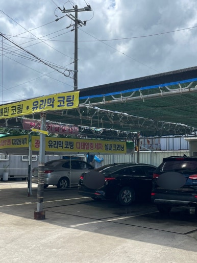프로카모터스 이미지