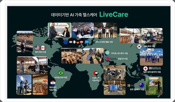 유라이크 이미지