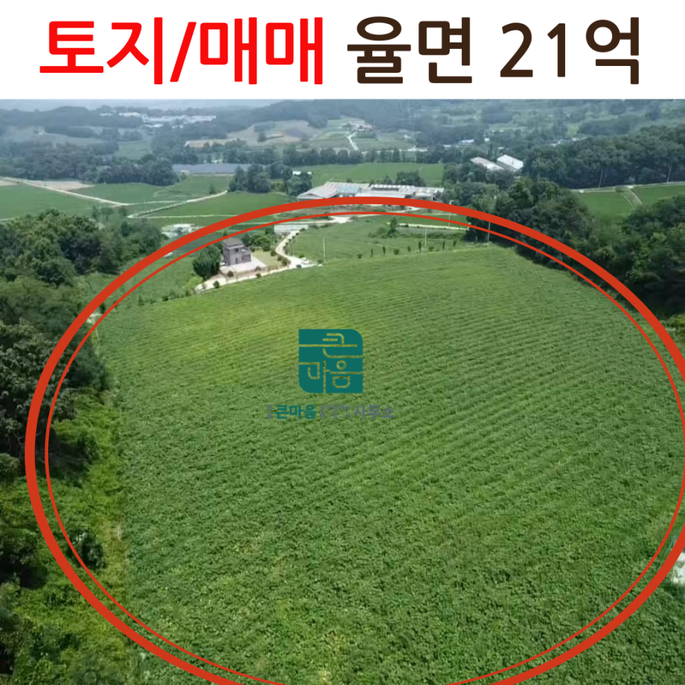 이천행정사사무소 이미지