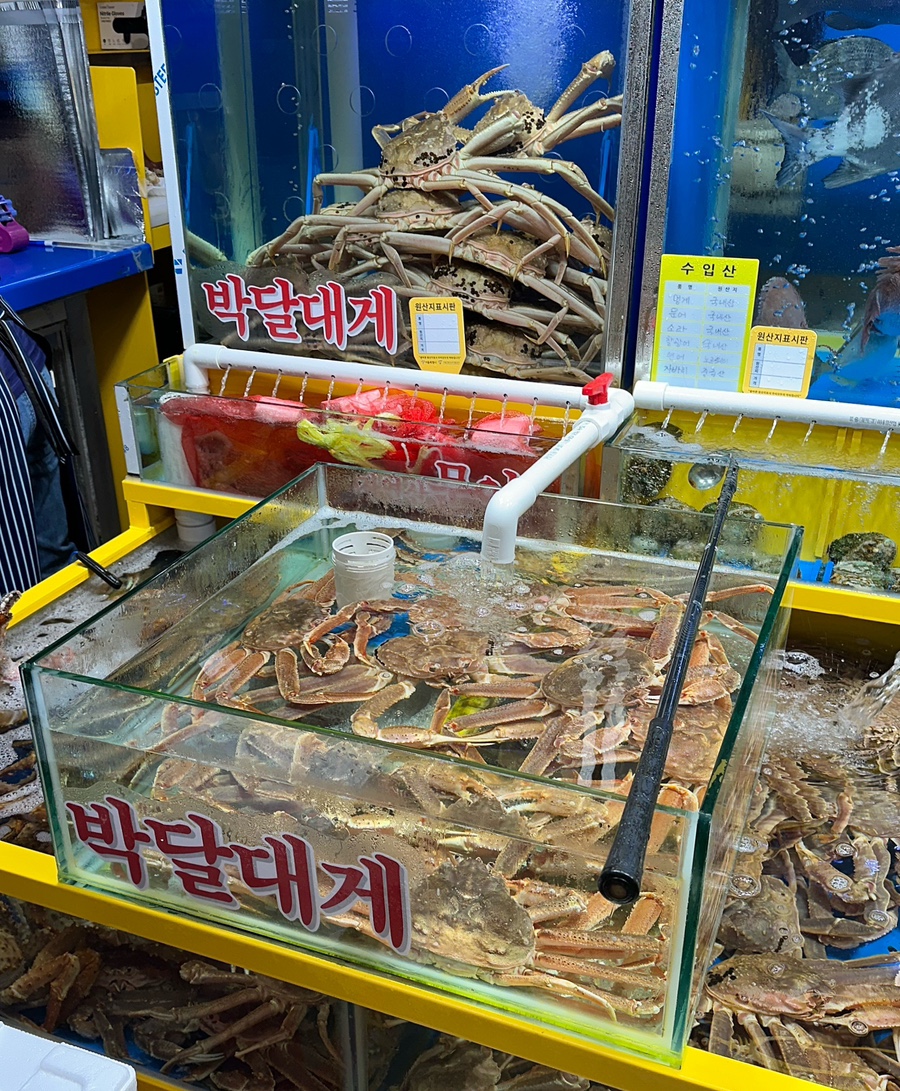 원대시장횟집 이미지