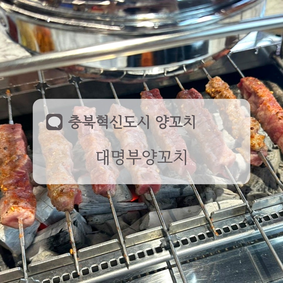 대명부양꼬치 이미지