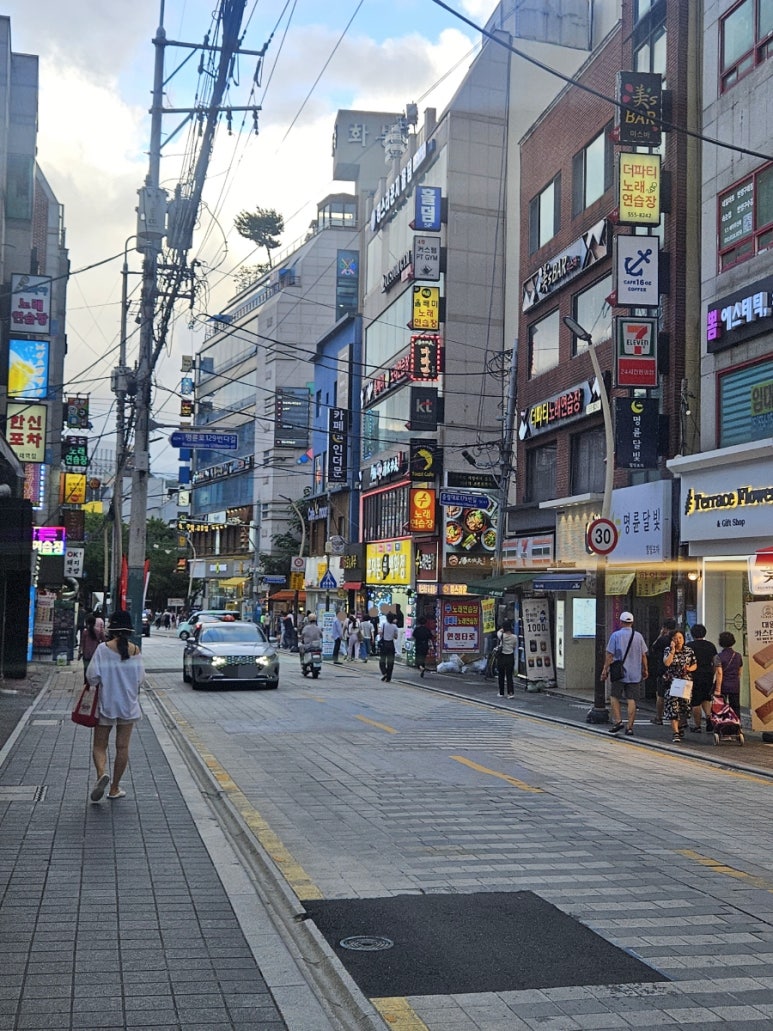 파라오풋 이미지