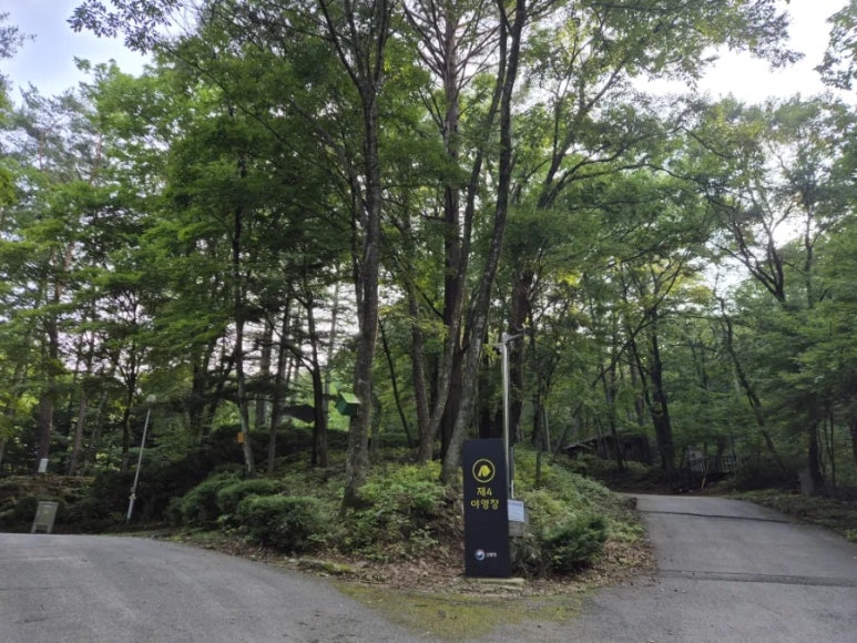 청옥산자연휴양림 이미지