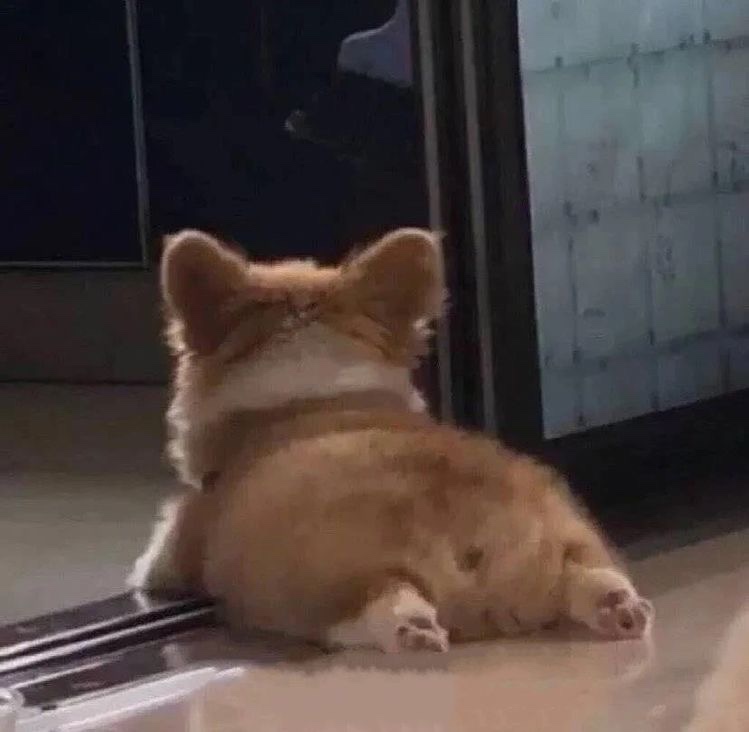 아카 이미지