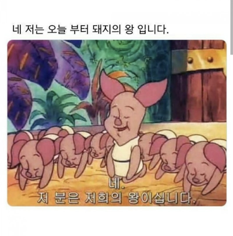 춘천명동닭갈비 이미지