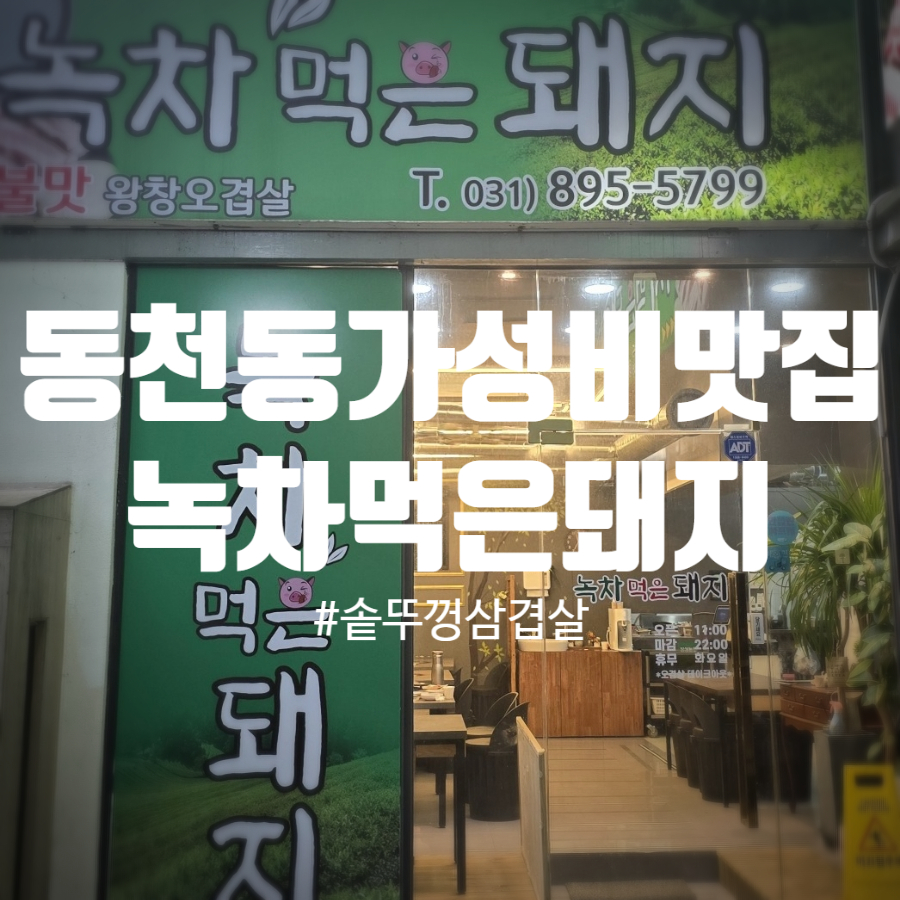 녹차 먹은 돼지 사진 7