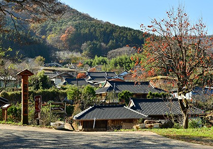 영화마을 이미지
