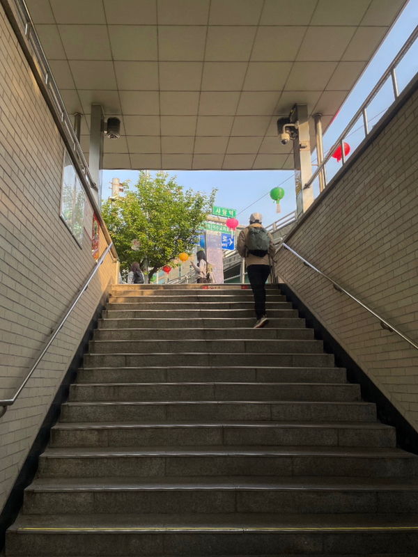 알레(alle) 이미지