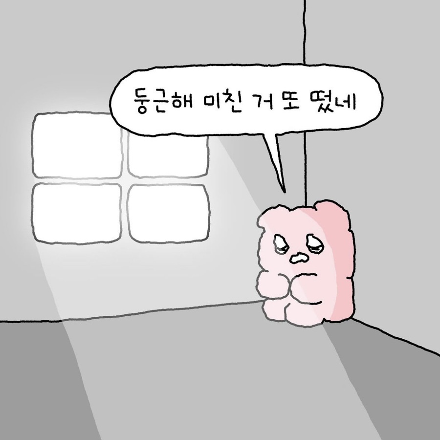 하시루 이미지