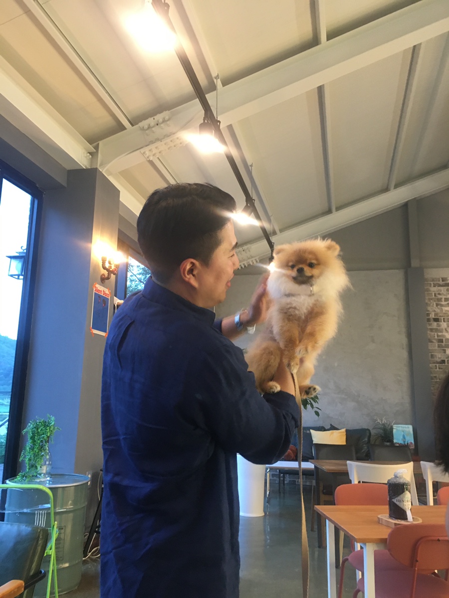 하이드온부쉬 이미지