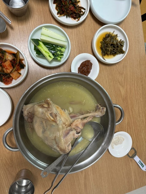 솔도토종닭 사진 7