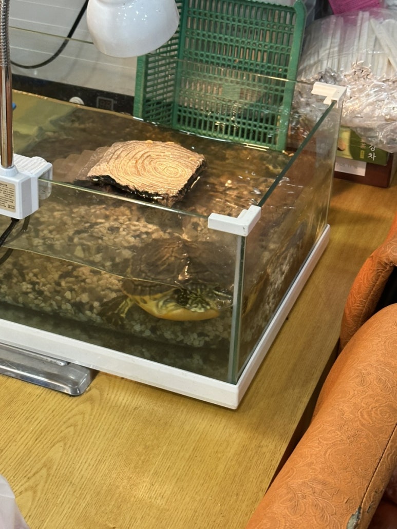 용강양꼬치 이미지