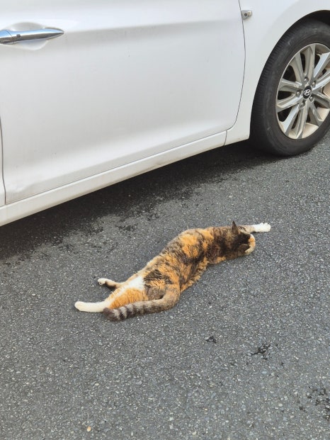 평화이용원 이미지