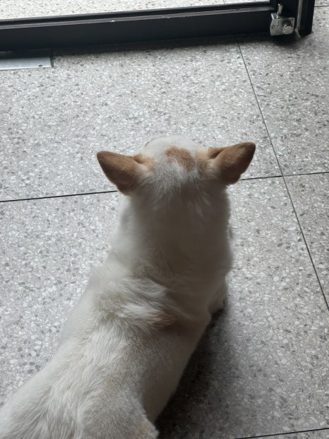 미드나잇 카페 이미지