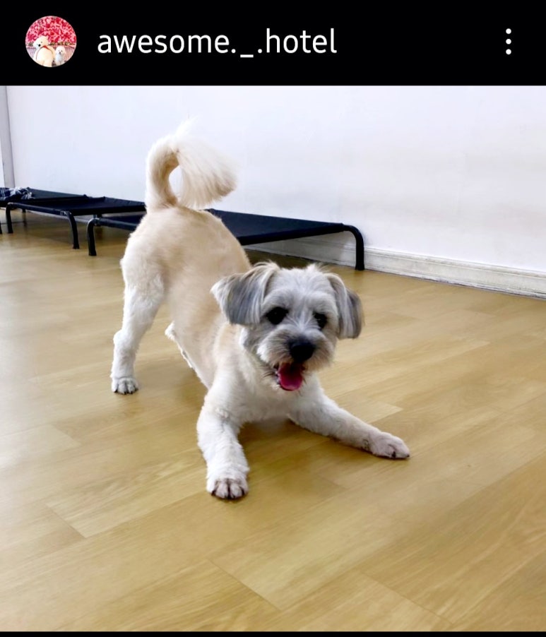 어썸호텔 이미지