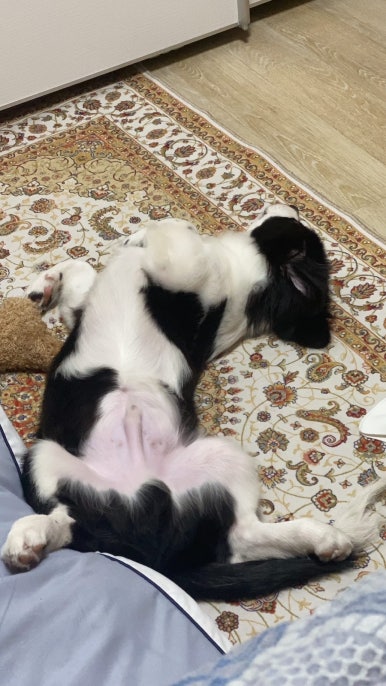 강사또 이미지
