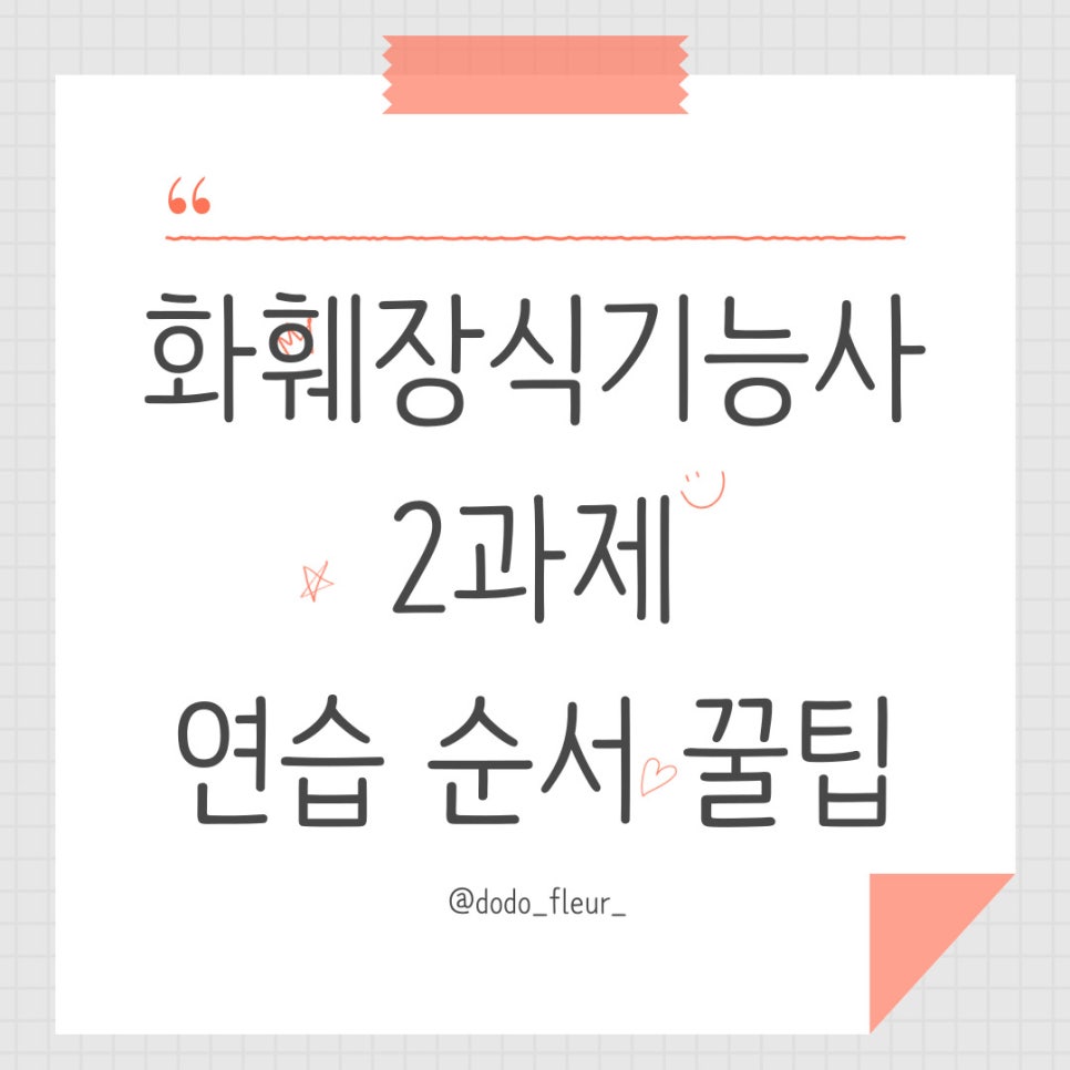 도도플레르 이미지