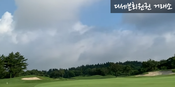 에스케이핀크스주식회사 이미지