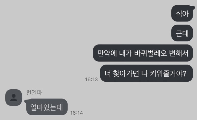 쿠이시 이미지
