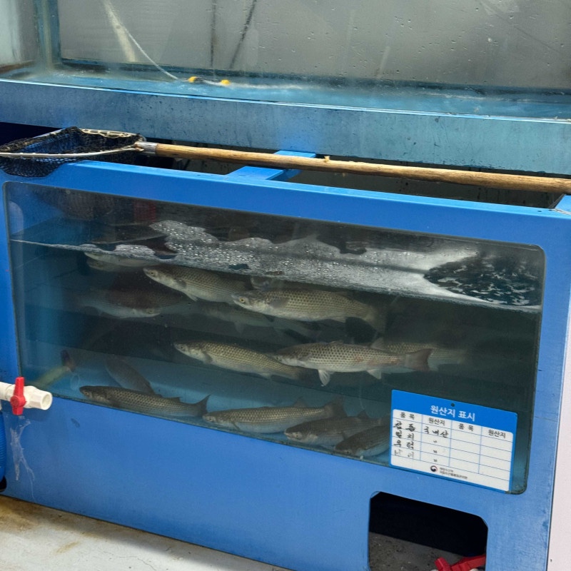 싱싱회수산 이미지