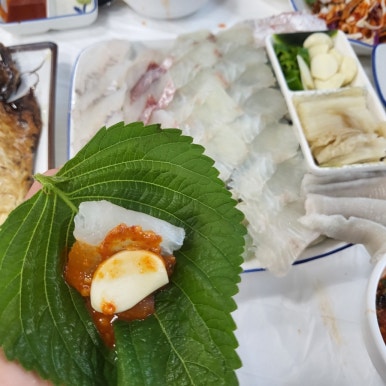 오대감참가자미물회 이미지