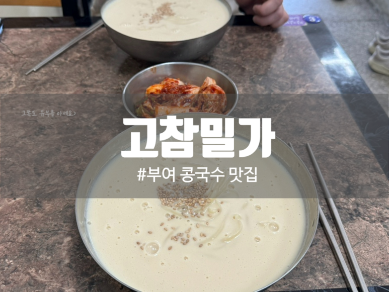 고참밀가 이미지