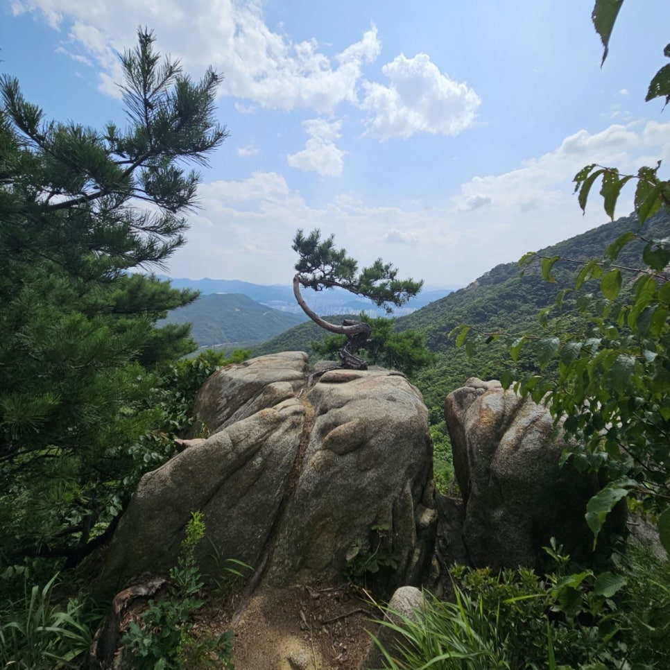 도시와사람행정사사무소 이미지