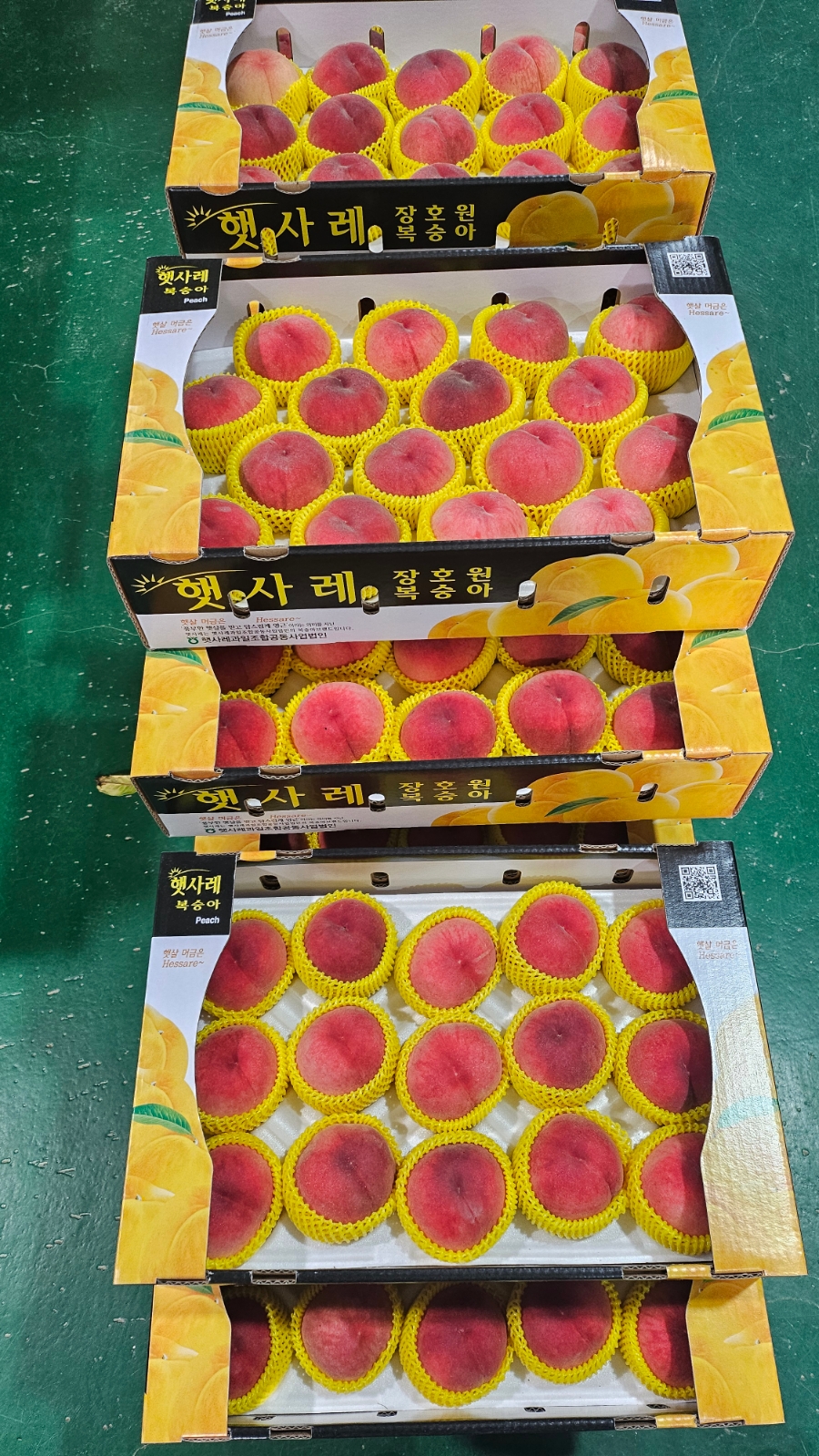 영일농장 이미지