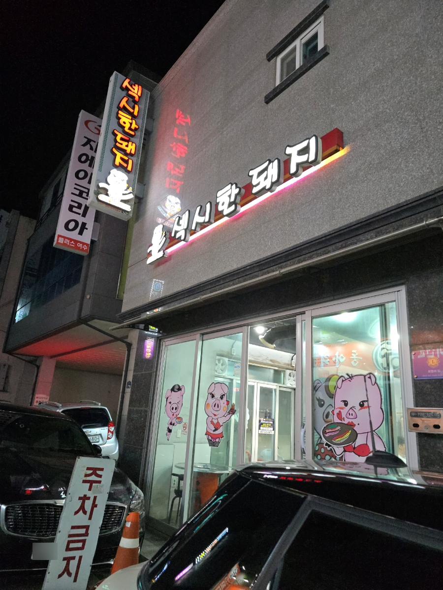 섹시한돼지 이미지