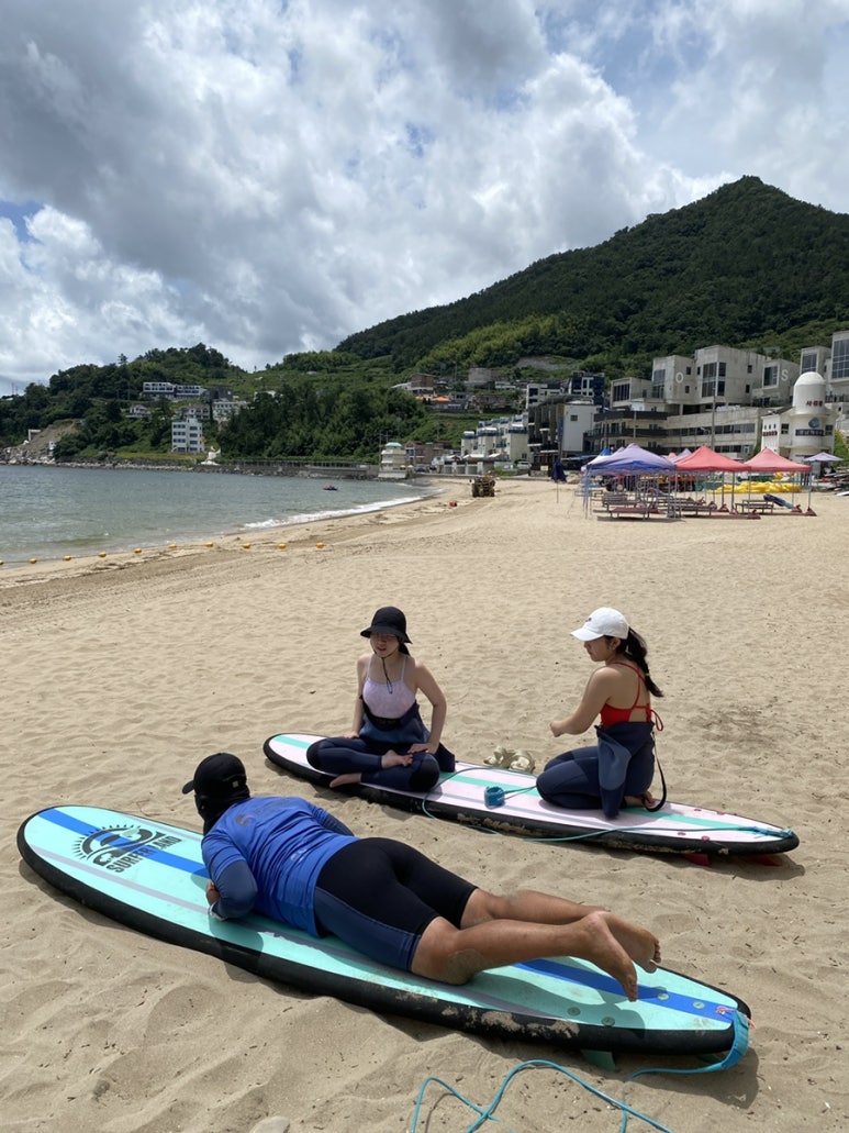 서퍼랜드 이미지
