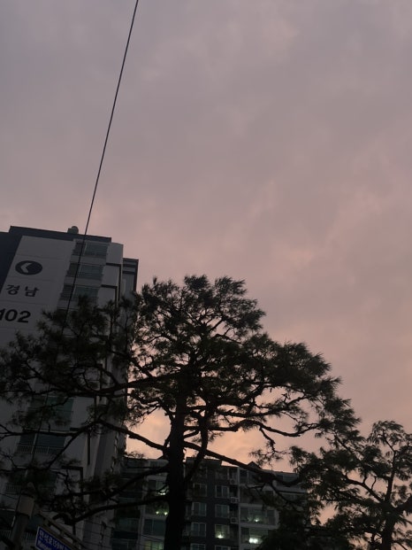 60계치킨 수원팔달점 이미지
