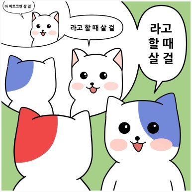 코카 이미지