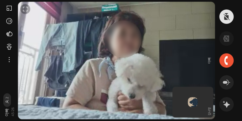 밋슈 이미지