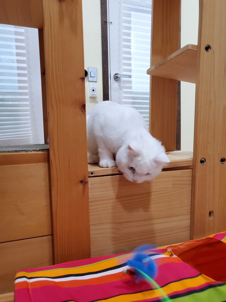 호텔하루 이미지