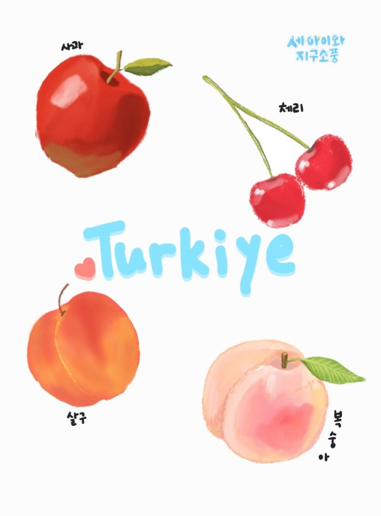 소풍렌트카 이미지