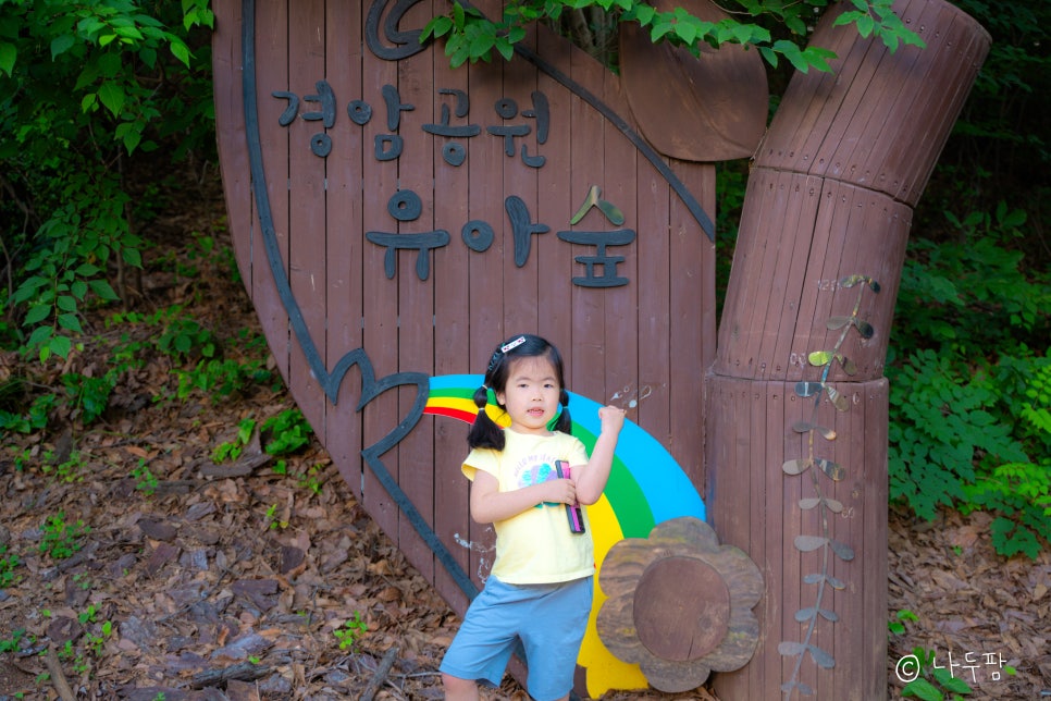 경암근린공원 유아숲체험원 이미지