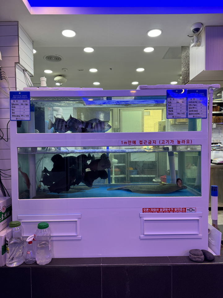 뚜껑집 이미지