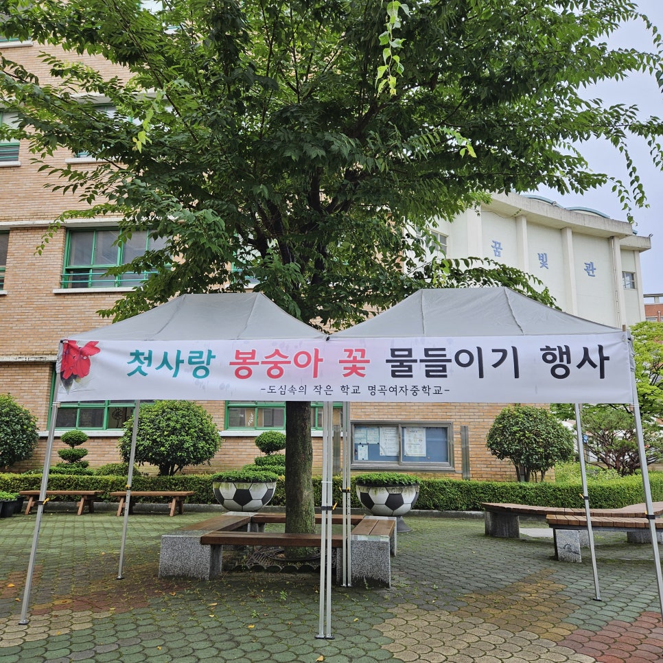 명곡여자중학교 이미지