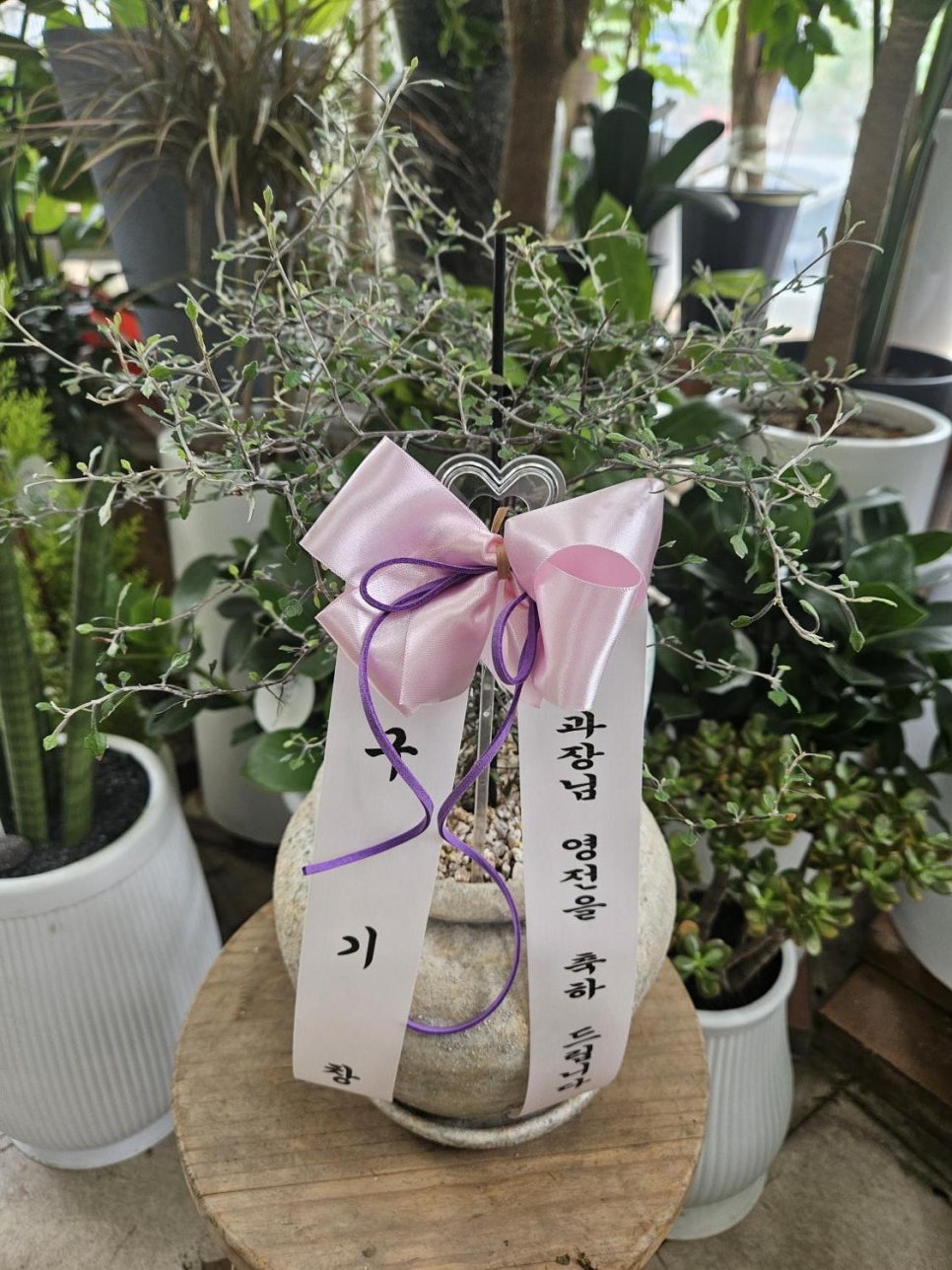 영플라워샵 이미지