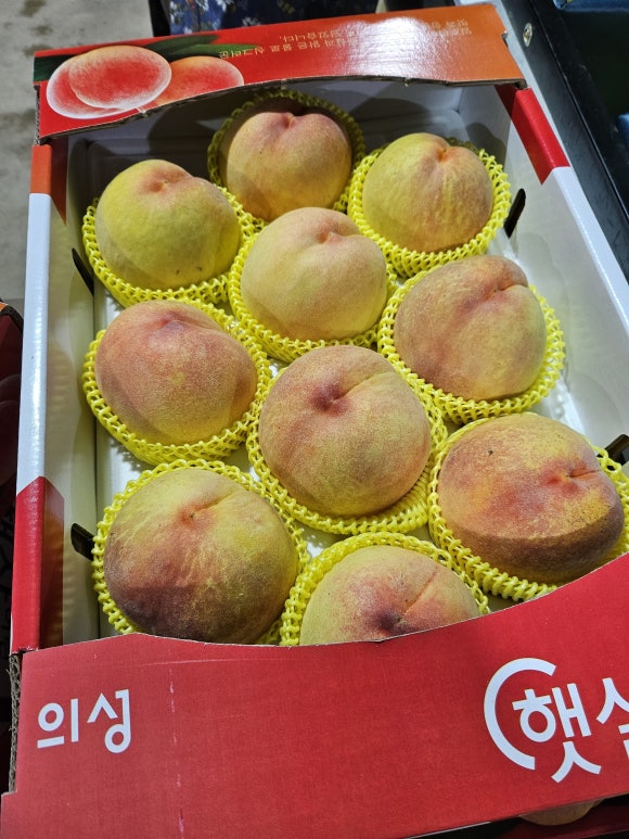 (주)골드브릭스 이미지