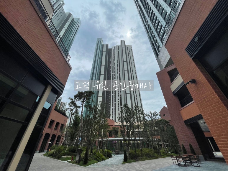 해성미트 이미지