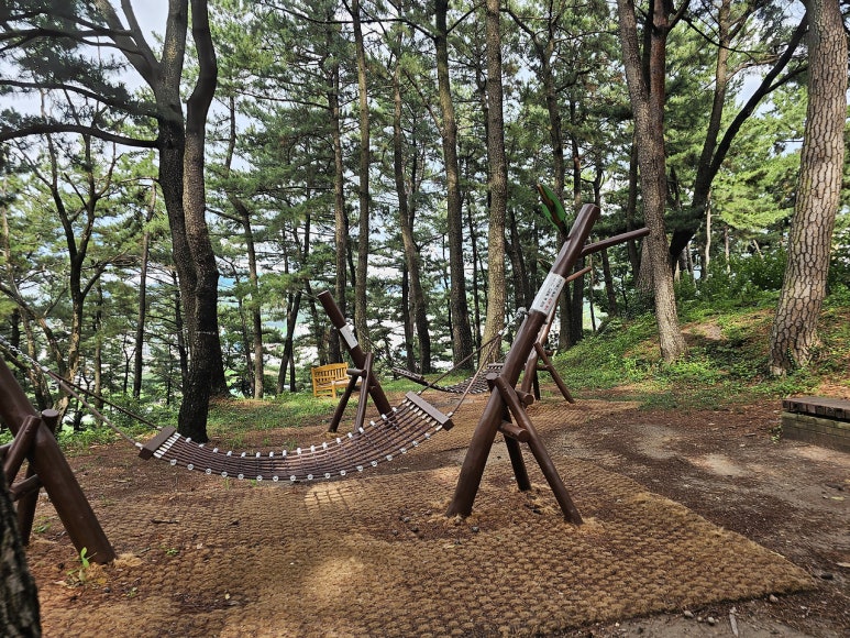 춘추 유아숲체험원 이미지