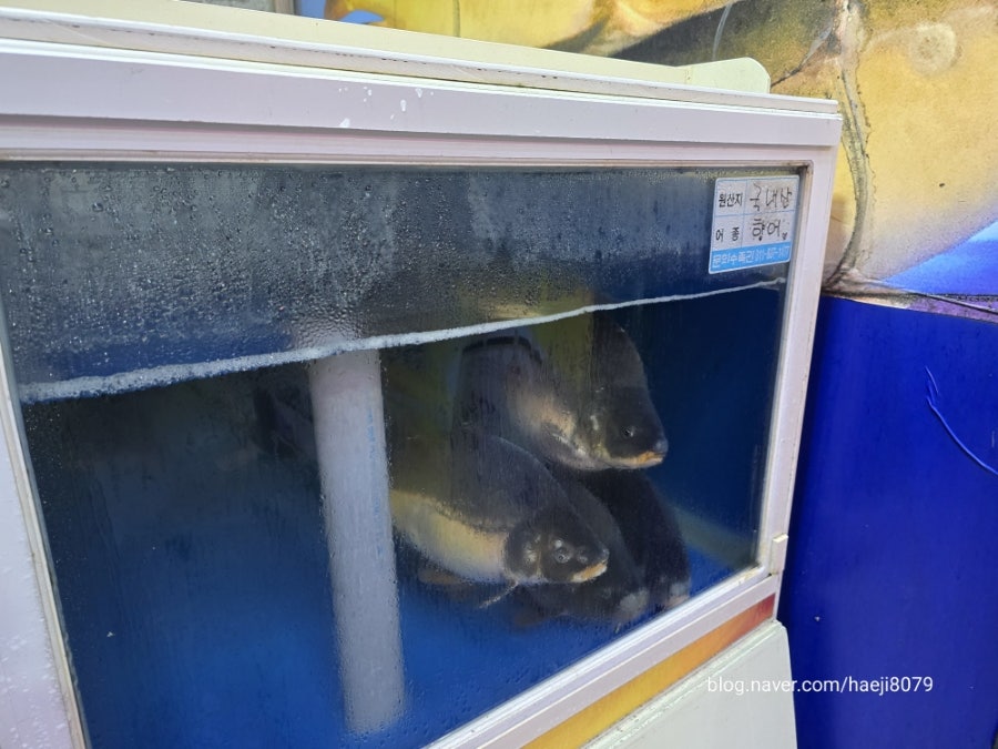 덕산향어횟집 이미지